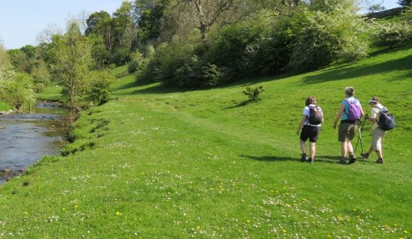 Group of ramblers walking through lush green countryside